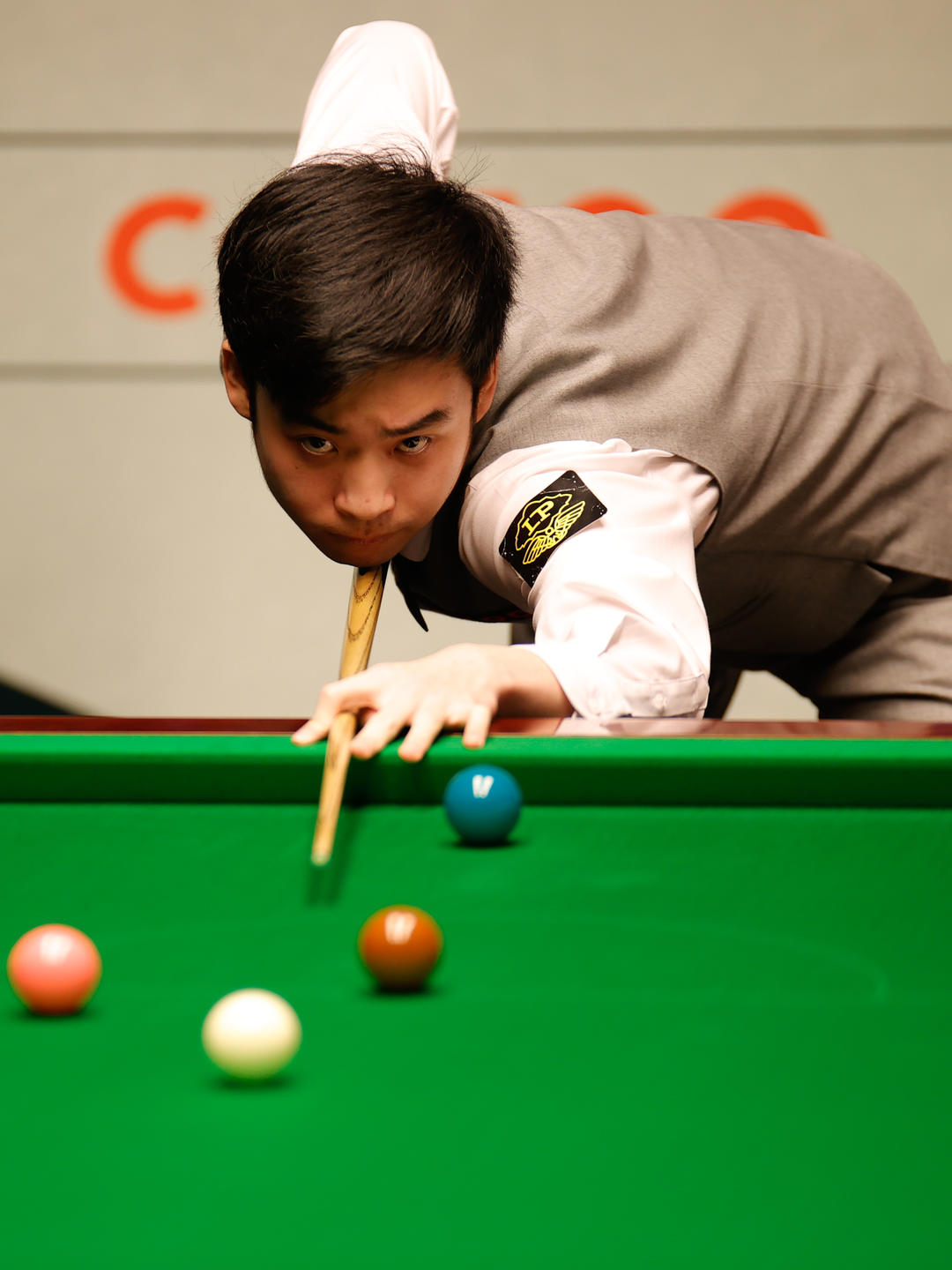 丰富中国在 丰富中国在