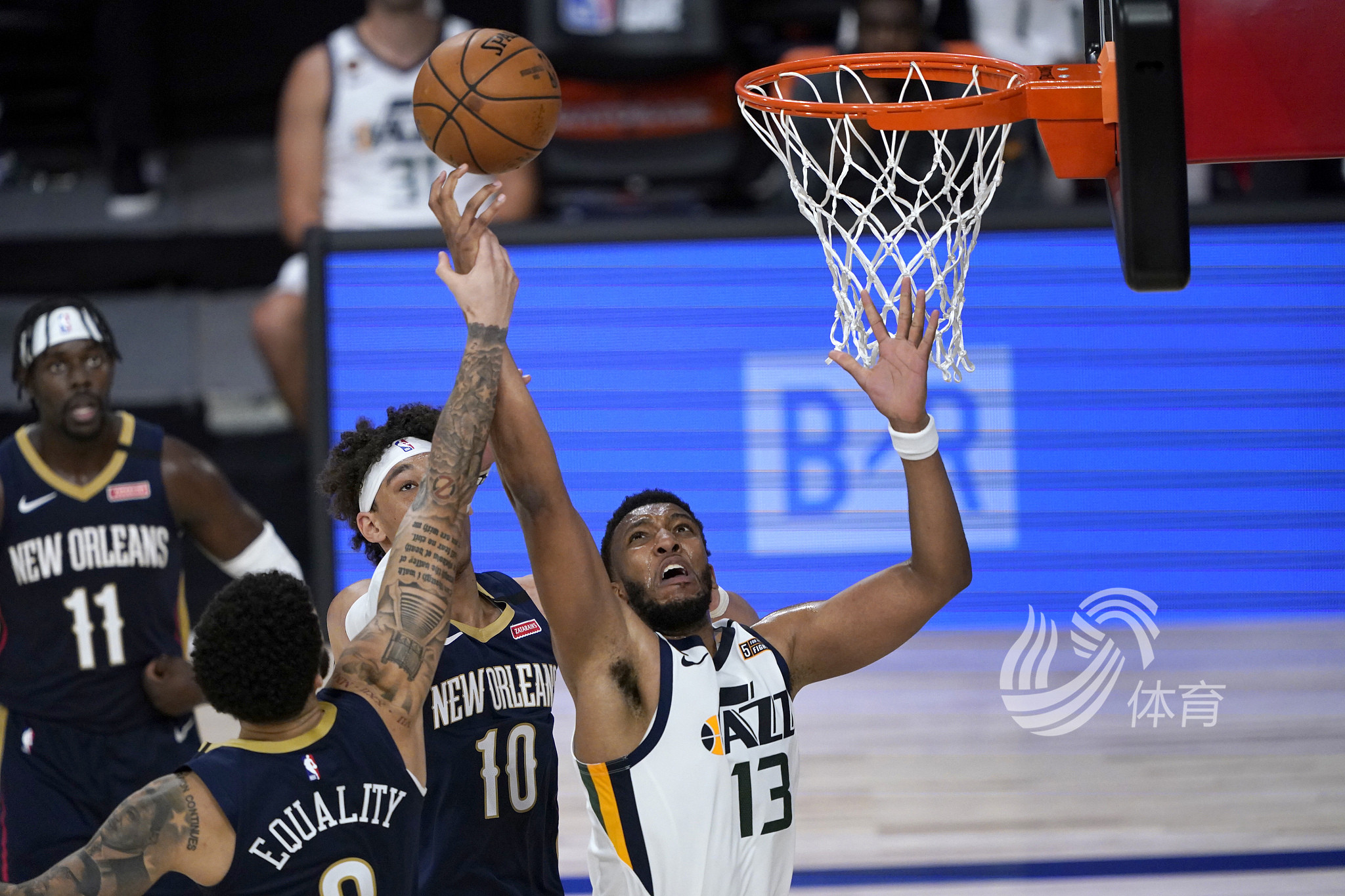 对于莱德杯 对于莱德杯